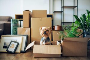 Should I Move Out After We Decide to Divorce?